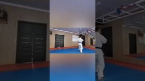 Оранжевый пояс синяя нашивка 9 Кю