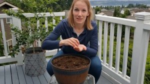 Starting Your First Vegetable Garden in Early June