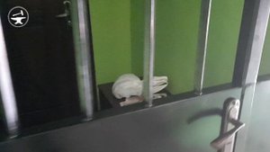 Дверь в тамбур