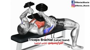 How to get bigger arms ( Biceps - Triceps )-تمارين باي وتراي