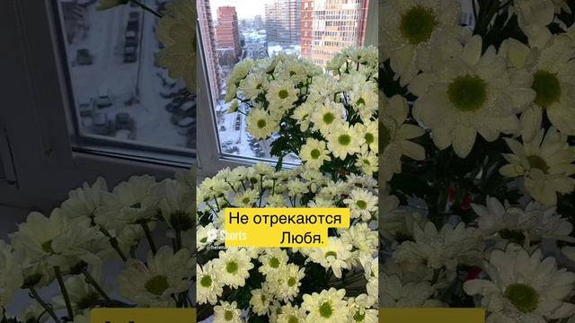 ♫ .  Алла Пугачева - _Не отрекаются любя_