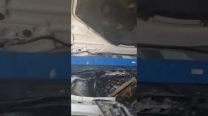 Выставление цепи ГРМ BMW F30 n20b20