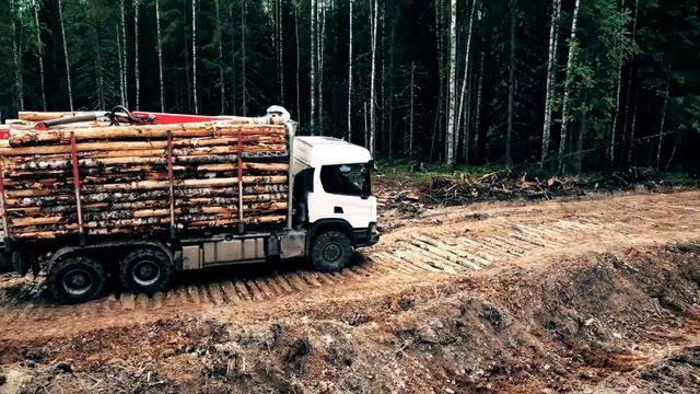 Сортиментовоз Scania P440