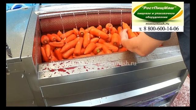 Обзор чистки моркови на GB-1000 от РостПищМаш