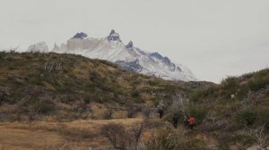 This is PATAGONIA in Chile and Why You Need To Go | Torres del Paine National Park
