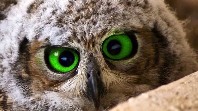 Новая клубная музыка. Красивая медленная музыка.... смотреть онлайн