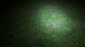 Лазерный фонарь WOLFF Pro - обзор и тест.