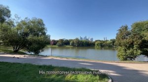 Где отдохнуть от городской суеты в столице? Новодевичьи пруды