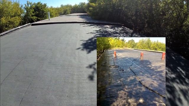 Заброшенная крыша. Деревья по 5 метров. Эконом - ремонт.