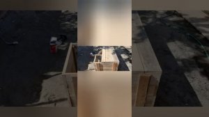 Дом для, таксы. За три часа.