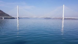 ♦️7.미운사랑 🎤가수:김수자 🎶원곡:진미령