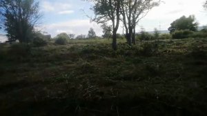 26.06.22.Покос травы и кустарника диском.Тример STIHL-250.Заказы по  +79241232444Стороженко Владими