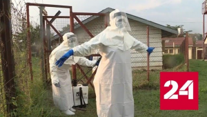 Минздрав Уганды заявил об искусственном происхождении вируса Эболы - Россия 24