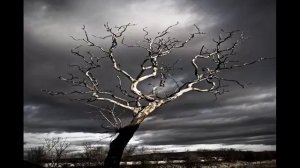 А.С. Пушкин "Анчар" 9 класс