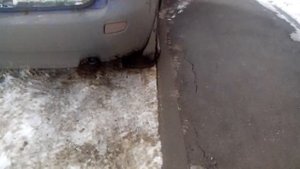 Грузим калину по полной  300 кг в багажнике