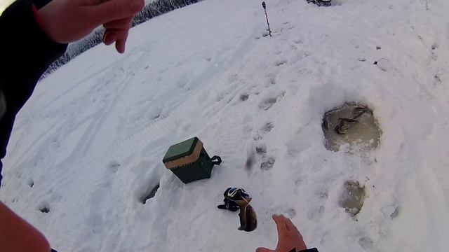 Рыболовные приключения в Карелии . Зима . смотреть онлайн