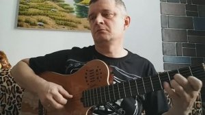 Птицы белые мои - К Никольский (кавер на гитаре)