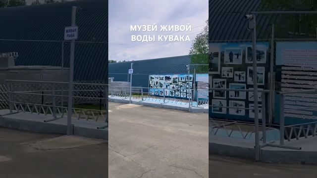 КУВАКА-крутой музей живой воды и рыбалка на озере #travel #tour #voyage #рыбалка #еда