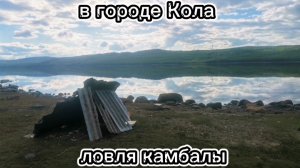 рыбалка на камбалу на Кольском заливе.