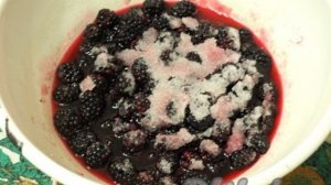 Ежевика в собственном соку