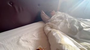ДАНОНФЛЕКС И СТОПБАН ЕДЯТ ОСТРЫЕ ЧУПАЧУПСЫ / ДАНОН ПЫТАЕТСЯ РАЗБУДИТЬ СТОПБАНА / ДАНОН ЖИМОВИК