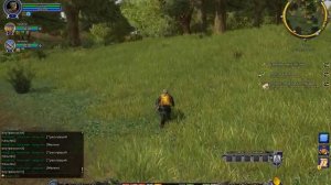 The Lord of the Rings Online прохождение