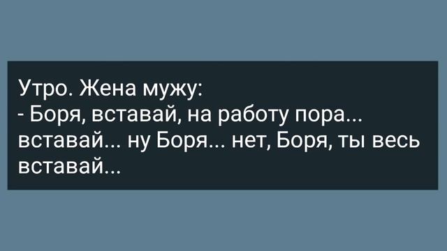 Начальник Женской Колонии Снял Штаны Перед Уголовницей! Сборник Свежих Анекдотов! Юмор!