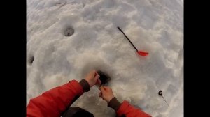 Кошачий глаз. Рыбалка на безнасадку. Плотва