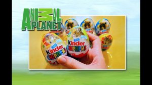 Киндер Сюрприз на русском языке Животные Kinder Surprise Animal Planet 2015