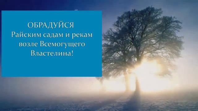 6 января 2023 г. смотреть онлайн