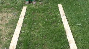 Какой газон выбрать? Результаты эксперимента через год