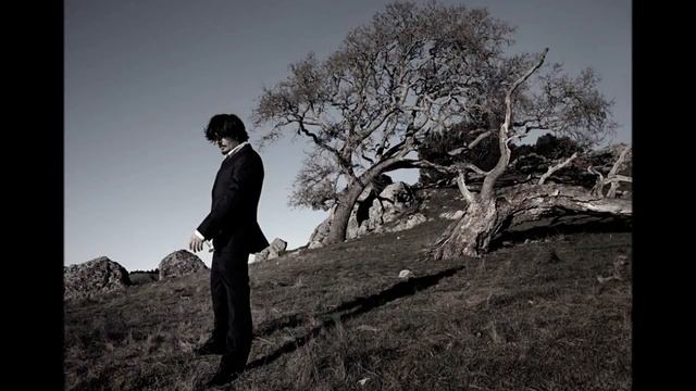 Amon Tobin Horsefish Live Performance by The London Metropolitan Orchestra