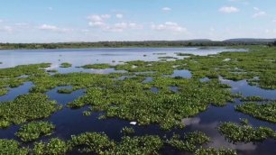 BRAZIL расслабляющая музыка и красивое видео о природе HD