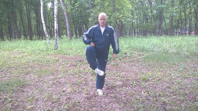 Тайцзи "Змея" и "Золотая курица" смотреть онлайн