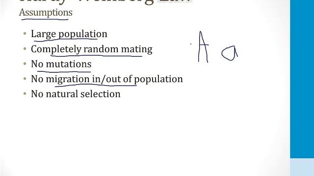 Генетика USMLE - 1. Генетические концепции - 4.Закон Харди-Вайнберга