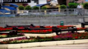 Цветы на Курортном бульваре Кисловодска