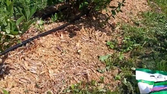 Комплексные удобрения для ягодных культур