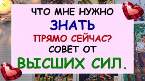 ⚡ ЧТО МНЕ НУЖНО ЗНАТЬ ПРЯМО СЕЙЧАС? ✨ СОВЕТ ОТ ВЫСШИХ СИЛ. ✨