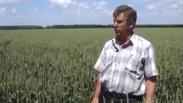 Нутривант Плюс Зерновой \ Nutrivan Plus Wheat смотреть онлайн