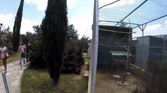 Pafos ZOO, Cyprus, Part III. Зоопарк Пафоса, Кипр, часть 3 смотреть онлайн