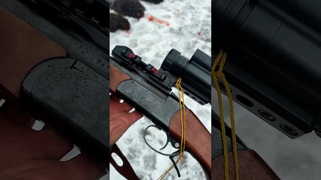 Охота на бобра. Иж 18мн 223rem, прицел PARD SA 32/35 LRF. смотреть онлайн