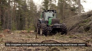 Минерализация почвы