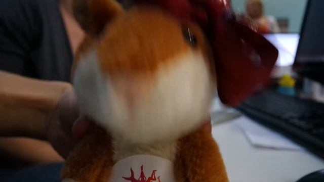 щастья - здоровья Boys from Piter смотреть онлайн