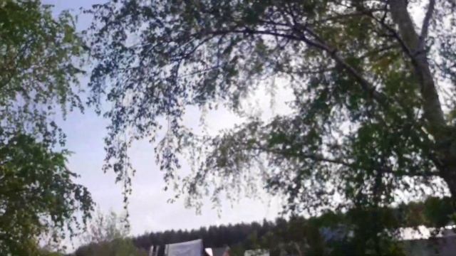 Ревизия и ремонт проводки подсветки номера Passat b5 . смотреть онлайн