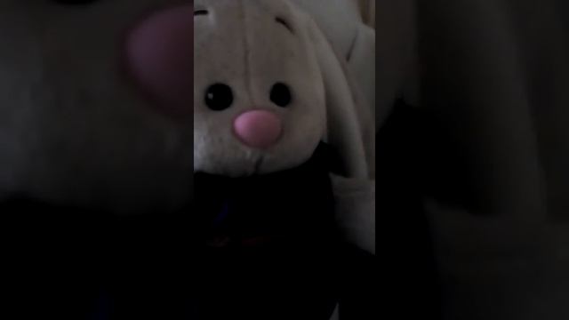 Приветствие с вами подписчики!Подготовка на дачу .А также знакомство .Канал Басикин смотреть онлайн