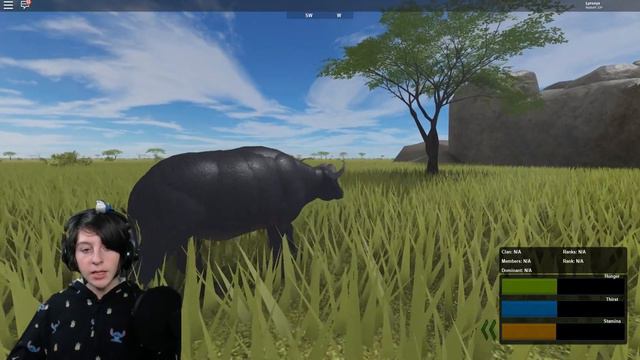 ROBLOX WILD SAVANNAH TESTING A Buffalo! WHY Lions do THIS to my Child!? New Updates & Emotes смотреть онлайн