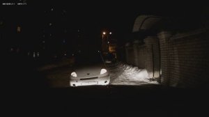 Хабаровские куртизанки