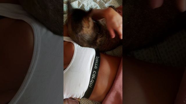 Пукнул😄 смотреть онлайн