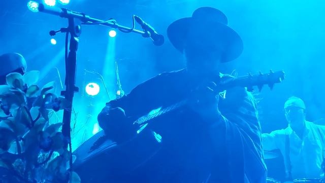 Фикус религиозный. БГ+, Белград, 25.01.2023 смотреть онлайн