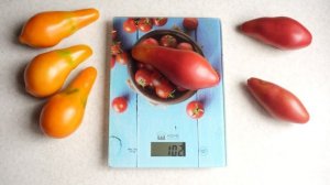 Идеальная пара томатов! Мила и Сибирский Хоттабыч